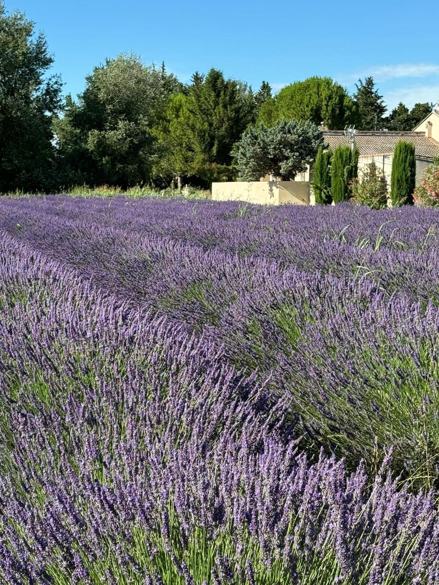 Neuf Et Au Calme Proche Avignon Apartment Althen-des-Paluds