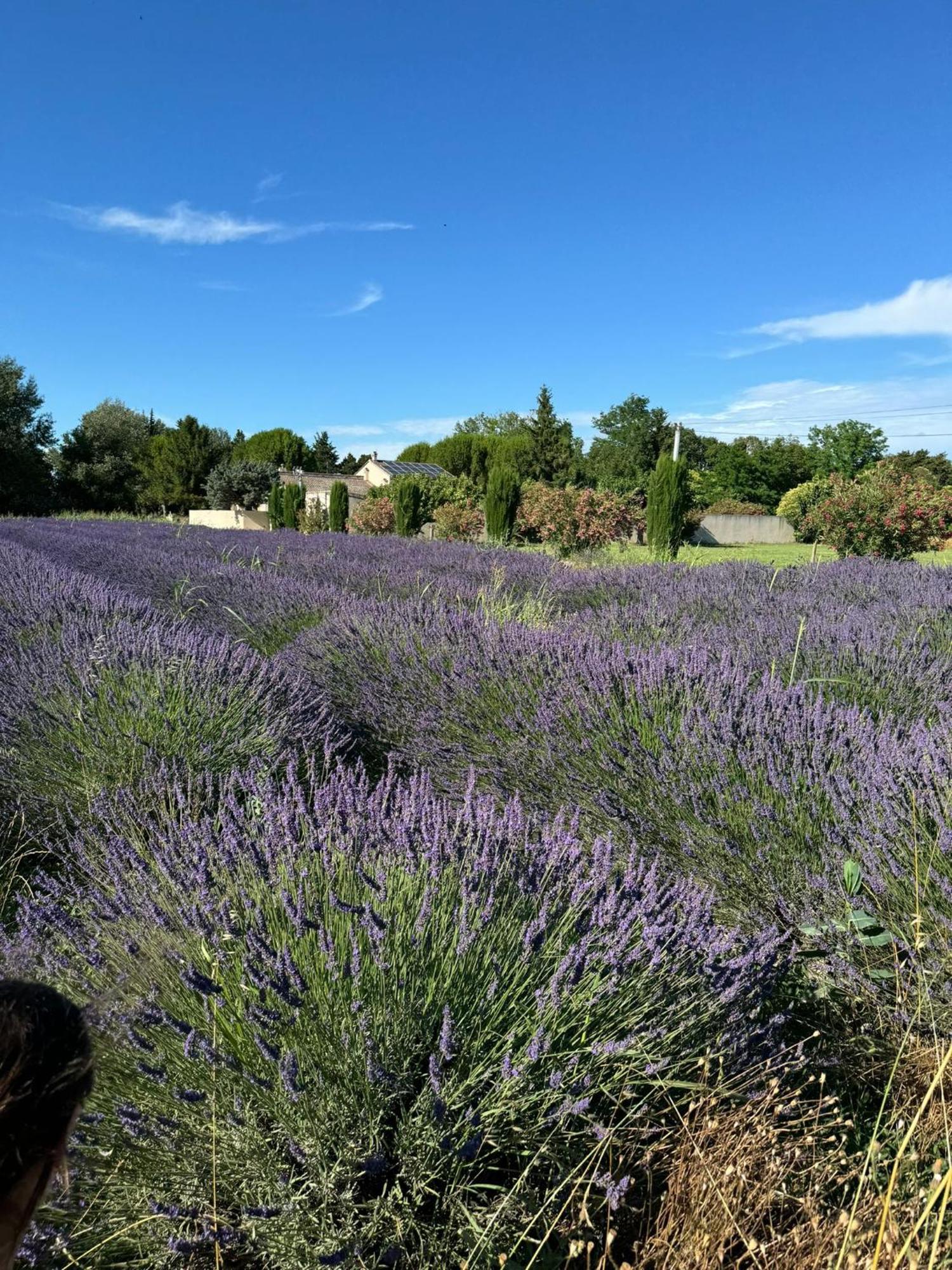 Neuf Et Au Calme Proche Avignon Althen-des-Paluds