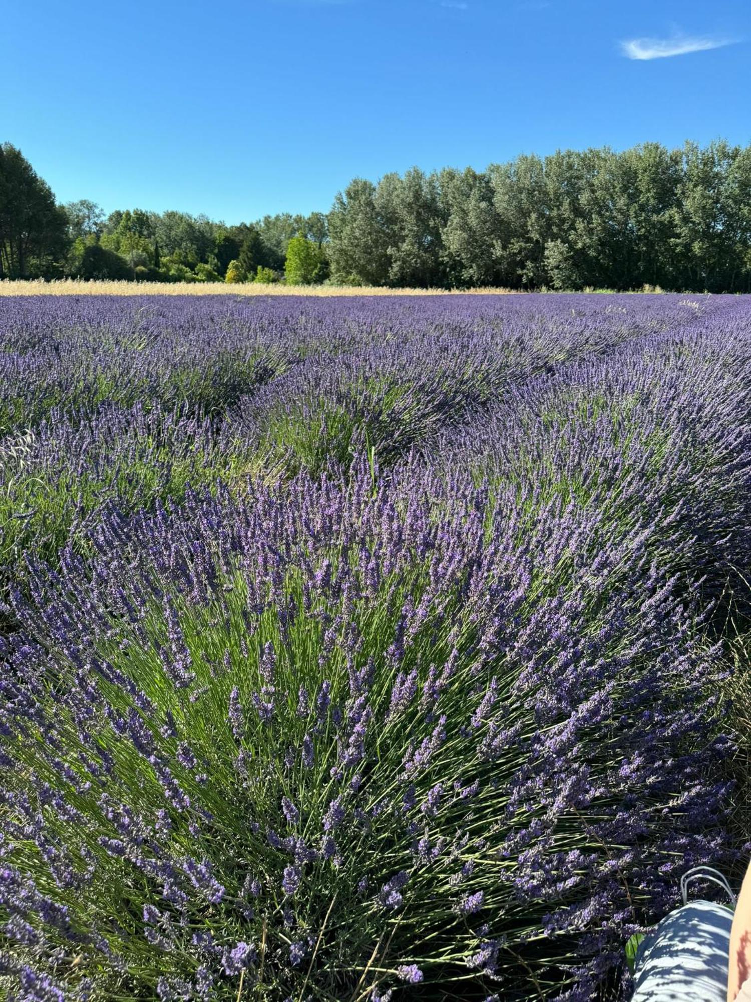 Neuf Et Au Calme Proche Avignon *